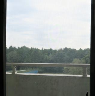 窓からの景色